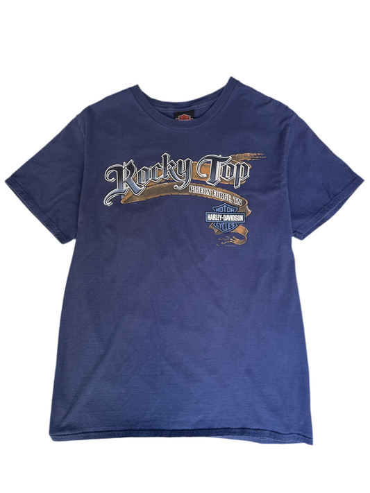 Y2K Harley Davidson Pigeon Forge TN Shirt- L